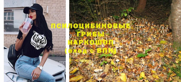тгк Армянск