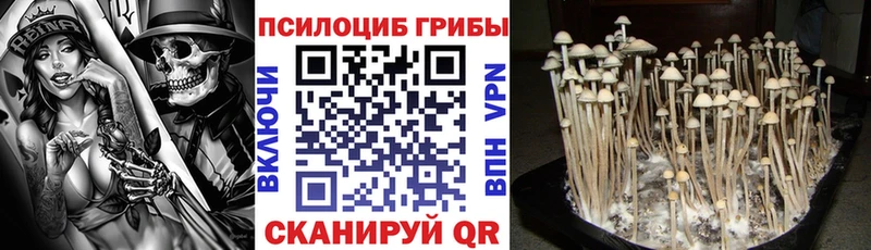 KRAKEN сайт  Сорск  Галлюциногенные грибы прущие грибы 